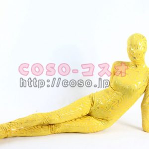イー　シルバーしま模様　衣装　コスプレ用　全身タイツ―6taitsu0060