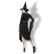 Witch Costumes  ブラック 魔女  ドレス  ハロウィン コスプレ服-Halloween-trw0725-0236 4